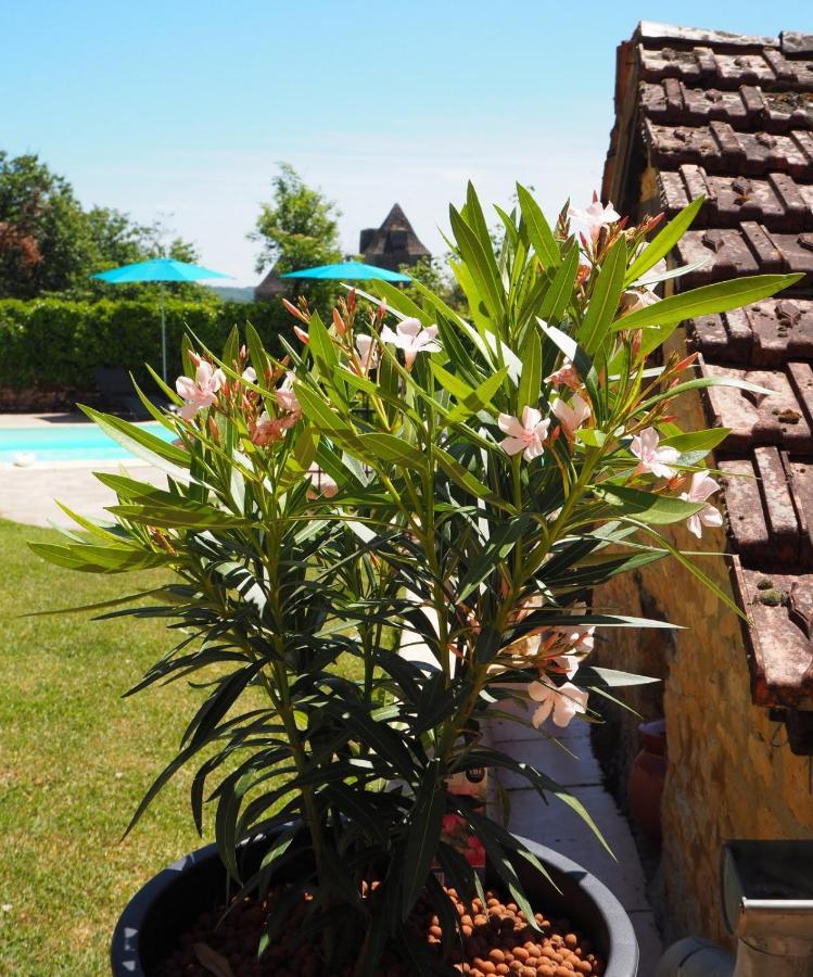 Le Clos de la Musardise - Gîtes de Charme avec Piscine Chauffée Salignac Eyvigues Esterno foto